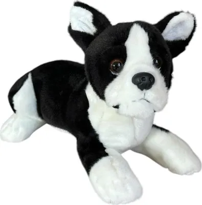 Image de Pies boston terrier leżšcy 28cm 32164
