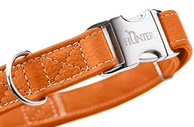 Immagine prodotto di Collare Hunter Cannes Alu-Strong arancione, taglia:M, colore:arancione