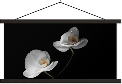 Produktbild von MuchoWow® Textilposter Orchidee - Blumen - Schwarz - Weiß - Stilleben 90x45 cm mit schwarzem Rahmen - Klemmleisten