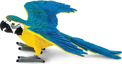 Produktbild von Safari Ltd Gold Blaue Ara-figur Mehrfarbig From 3 Years Kinder Mehrfarbig From 3 Years