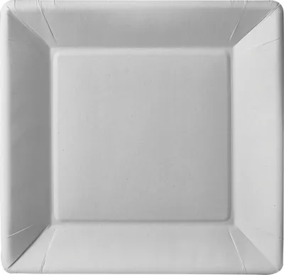 Zdjęcie produktu dla PAPSTAR Papp-Teller "pure" eckig, 225 x 225 x 18 mm, weiá