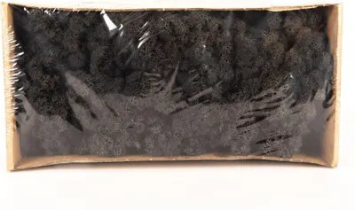 Produktbild von INNA-Glas Dekoratives Moos SVEINBJÖRN, schwarz, 500g - Echtes Isländisches Moos