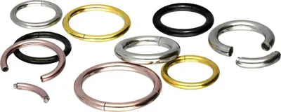 Produktbild von Intim-Piercing, Septum Piercing Chirurgenstahl Segmentring Silber Innendurchmesser: 8mm + Stabstärke: 1,6mm