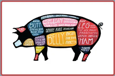 Produktbild von vianmo Holzschild 12x18 cm Metzger Schwein cuts Pork