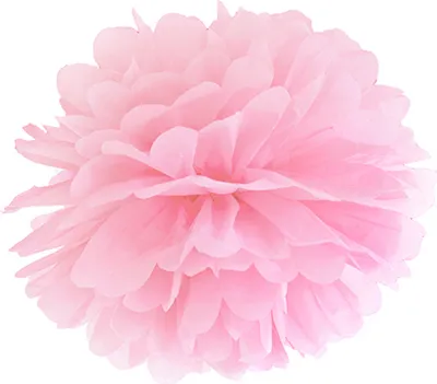 Obrázek produktu pro Pompom rosa 25 cm