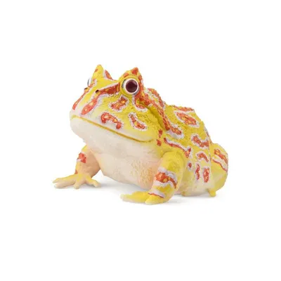 Produktbild von Toymany ML00386 Hornfrosch Schmuckhornfrosch 5,2 cm Reptilienreich