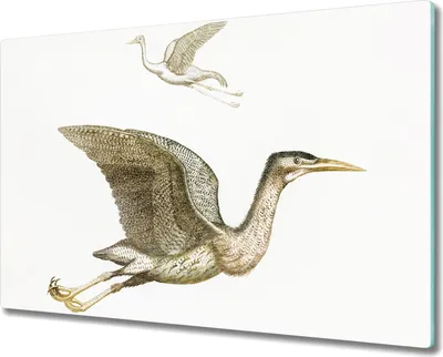 Produktbild von Coloray Hackbrett Herdabdeckplatte 80x52 cm Küchenbrett Kochplattenabdeckung Schneidebrett - Tiere Vögel