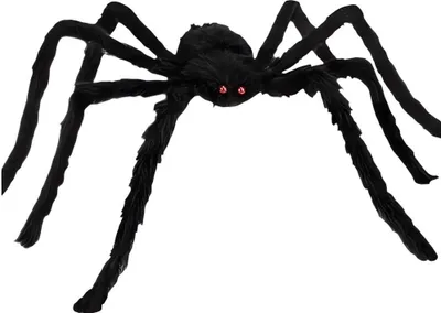 Obrázek produktu pro Ruhhy 26029 Gigantický pavouk 50 cm, černá