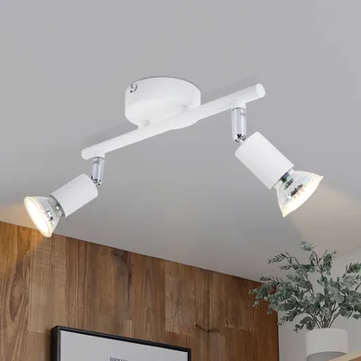 A white ceiling light fixture with two adjustable spotlights is mounted on a white ceiling. Below the fixture, a wooden paneled wall is visible, along with a framed picture and a potted plant.