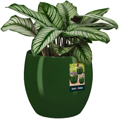 Produktbild von KOTARBAU® Blumentopf Keramik rund ⌀ 21 cm  Höhe: 22 cm Grün Übertopf Keramik Übertöpfe für Zimmerpflanzen Blumentopf modern kleine Übertöpfe Pflanztopf Keramik Orchideentopf Keramik Übertopf
