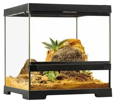 Produktbild von Exo Terra Pro Terrarium Xs Wide Terrarium 30x30x30cm Golden 30 x 30 x 30 cm Golden 30 x 30 x 30 cm