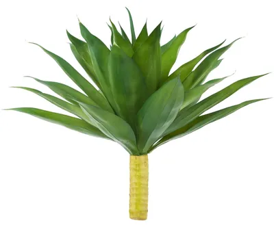 Image de Plantes succulentes artificielles, faciles d'entretien, pour décoration intérieure et extérieure, couleur verte. 1 branche, 29 feuilles