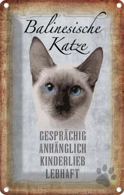 Produktbild von vianmo Blechschild 18x12 cm balinesische Katze Tier Haustier