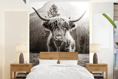Produktbild von MuchoWow® Fototapete für Wohnzimmer oder Schlafzimmer Wandtapete Vinyl Motivtapete Schottischer Highlander - Schwarz - Weiß - Tiere - 175x240 cm - Schlafzimmertapete