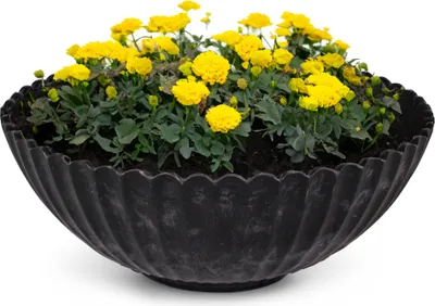Image de Jardinière ronde pour l'extérieur marbrée noire 16 cm
