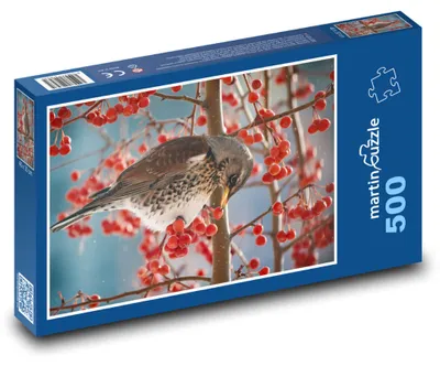 Obrázok produktu pre Puzzle 500 Drozd medzi červenými bobuľami - martinpuzzle