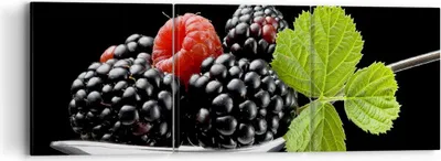 Produktbild von Bild auf Leinwand - Leinwandbild - Löffel Himbeere Brombeere Frucht - 90x30cm - Wand Bild - Wanddeko - Leinwanddruck - Bilder - Kunstdruck - Wanddekoration - Leinwand bilder - Wandkunst - CA90x30-2202