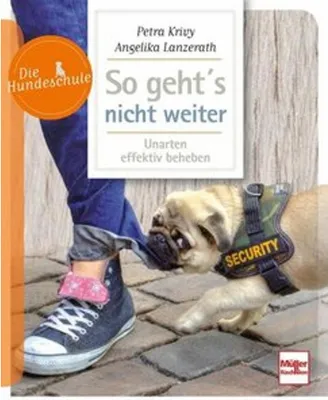Obrázek produktu pro So geht's nicht weiter