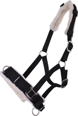 Produktbild von Kappzaum Halfter Nylonhalfter Longierhalfter QHP 7 Farben und 4 Grössen Farbe - schwarz Größe - Cob Vollblut