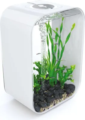 Produktbild von OASE 72058 biOrb LIFE 45 MCR weiß