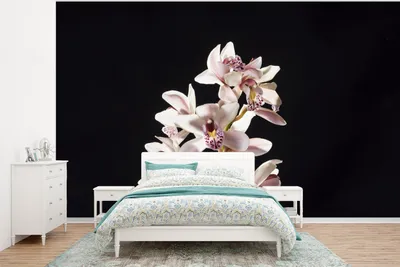 Produktbild von MuchoWow® Fototapete für Wohnzimmer oder Schlafzimmer Wandtapete Vinyl Motivtapete Eine weiße Orchidee vor schwarzem Hintergrund - 295x220 cm - Wand Tapete