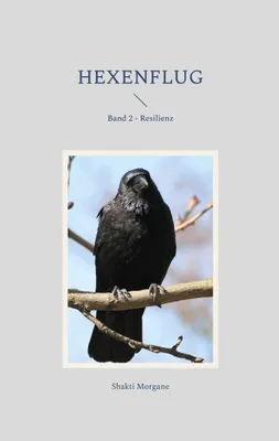 Produktbild von Hexenflug