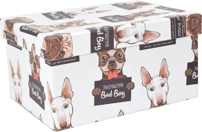 Produktbild von Geschenkbox Aufbewahrungsbox Schachtel mit Hundemotiv ineinander stapelbar stabil, Geschenkbox Größe:200x150x110