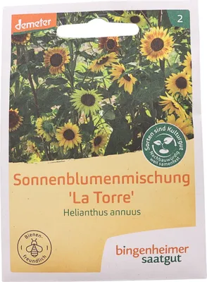 Image de Bingenheimer-Satgut Mélange de tournesols 'La Torre', jaune clair, petits