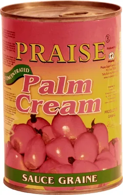 Produktbild von Praise Palmkernsauce