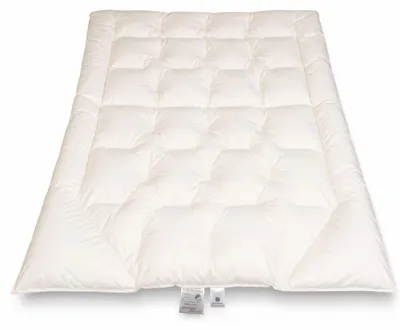 Produktbild von Betten Hofmann Premium Sommer Körperformbett 135x200 cm 100% Gänsedaunen