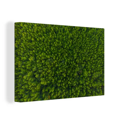 Obrázek produktu pro OneMillionCanvasses® Malba na plátně Nástěnná malba na plátně - Les - Strom - Zelený - 150x100cm