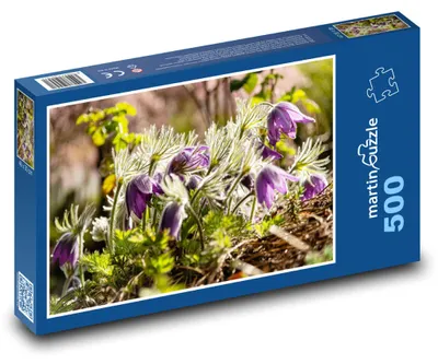 Obrázek produktu pro Puzzle 500 Jarní Krokusy v Přírodě - martinpuzzle