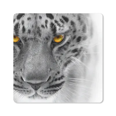 Produktbild von MuchoWow® Mauspad Mousepad Leopard - Augen - Schwarz - Weiß 30x30 cm - Mousepads - Maus Mat - Pad - Mausunterlage - Gaming