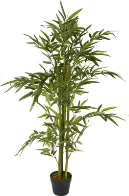 Zdjęcie produktu dla Sztuczna Roślina 130Cm 318001000