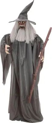 Obrázek produktu pro EUROPALMS Halloweenská figurka čaroděje, animovaná 190cm (83316110)