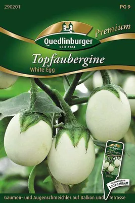 Produktbild von Aubergine 'Topf-White Egg' Quedlinburger Gemüsesamen