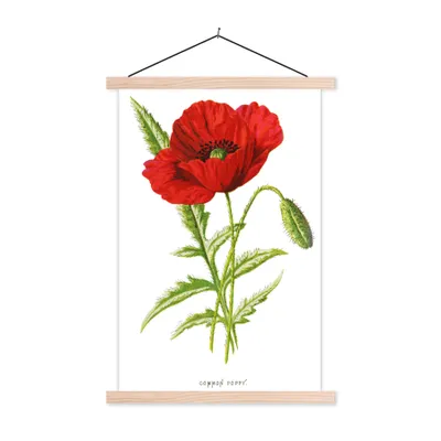 Produktbild von MuchoWow® Textilposter Blume - Rot - Vintage 120x180 cm mit holzfarbenen Rahmen - Textil-Plakat