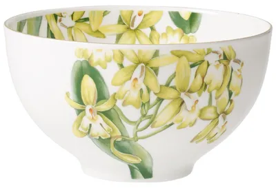 Produktbild von Villeroy & Boch Amazonia Bol 13 cm