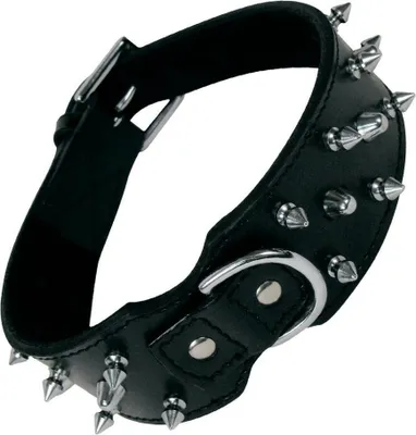 Produktbild von Hundehalsband Gloria Schwarz Spikes (70 cm)
