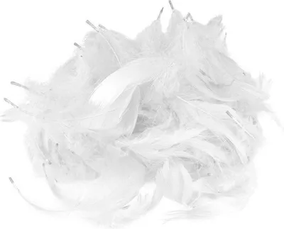 Produktbild von Dekofedern 9-17cm 10g weiß - Loveart