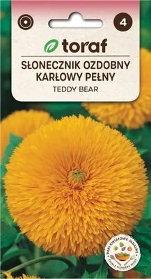 Image de Tournesol complet ornemental TEDDY BEAR 2g