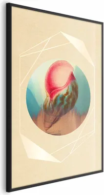 Produktbild von Posterpapier Poster - Shell 21x30 cm Abstrakt n-A-0849-ao-a