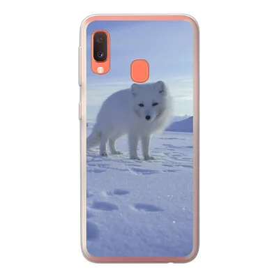 Produktbild von MuchoWow® Handyhülle Schutzhülle Hülle für Samsung Galaxy A20e Fuchs - Schnee - Berge Silikon Softcase Handy Hülle - Abdeckung