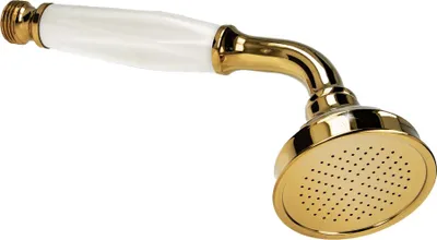 A close-up studio shot of a gold and white hand shower head.