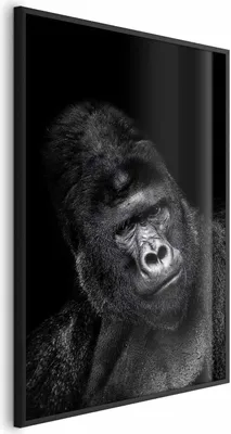 Produktbild von Posterpapier Poster - Gorilla 29.7x42 cm Tiere g-B-0113-ao-a