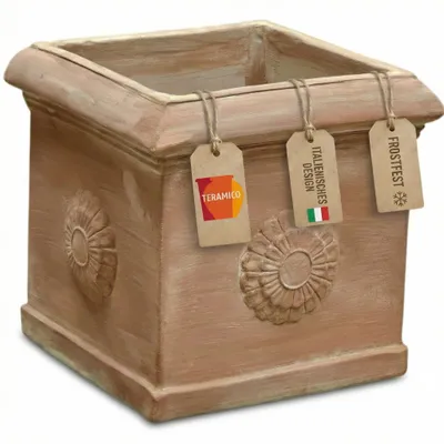 Image de Teramico Bac à plantes « Cubo Rosone » Terre cuite Résistant au gel 25 cm