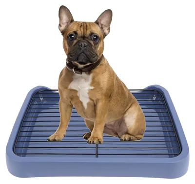 Immagine prodotto di Solidchoice - Vasino per cani per l'addestramento alla pulizia in casa - Toilette portatile per cani di piccola e media taglia