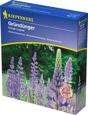 Produktbild von Kiepenkerl Gründünger Düngelupinen Lupinus angustifolius, Inhalt: 1 kg