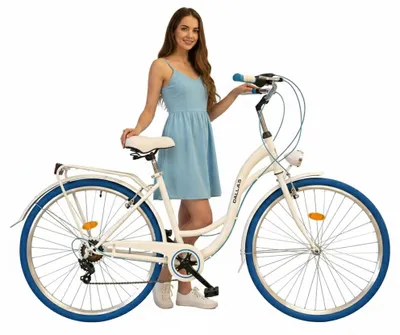 Produktbild von Dallas Bike Fahrrad - Cityrad 28 Zoll - Unisex Damen & Herren - Shimano 7-Gang - Rahmen M 18"