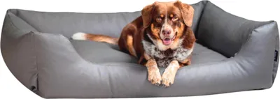 Produktbild von 4L Textil MARIO Hundebett Kunstleder grau Hundebett grosse Hunde Kunstleder Hundekörbchen Kunstleder Hundekorb aus Kunstleder 100x70 cm